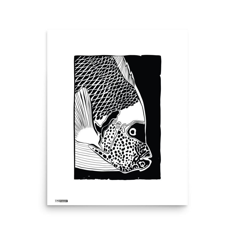 Minimal fish illustration art print for modern interior walls — 16×20