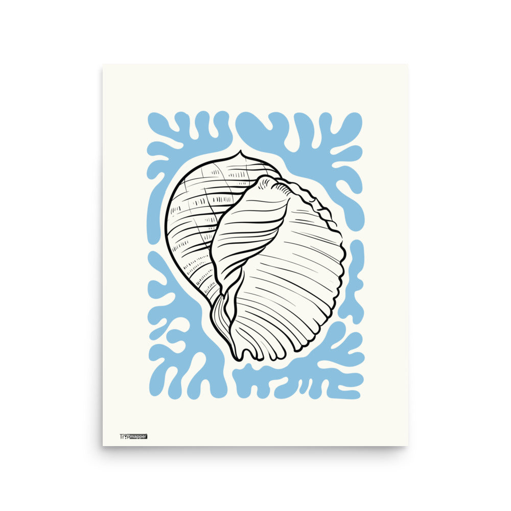 Minimal conch shell illustration art print for modern walls — 16×20